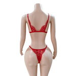 Ensemble de Soutien-Gorge Et Culotte En Dentelle ملابس داخلية