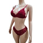 Ensemble de Soutien-Gorge Et Culotte En Dentelle ملابس داخلية